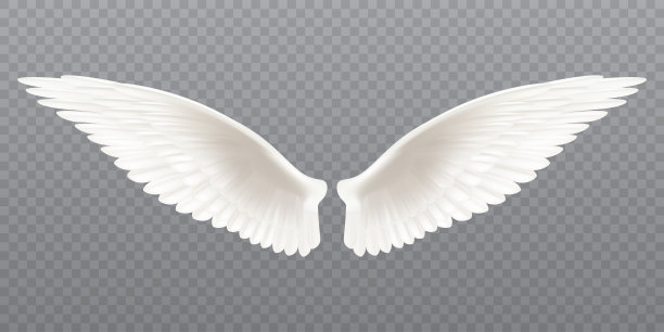 天使翅膀,标志logo设计