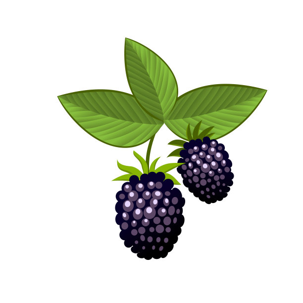 新鲜水果logo