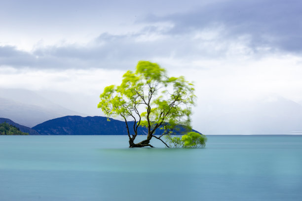 新西兰海滨风景