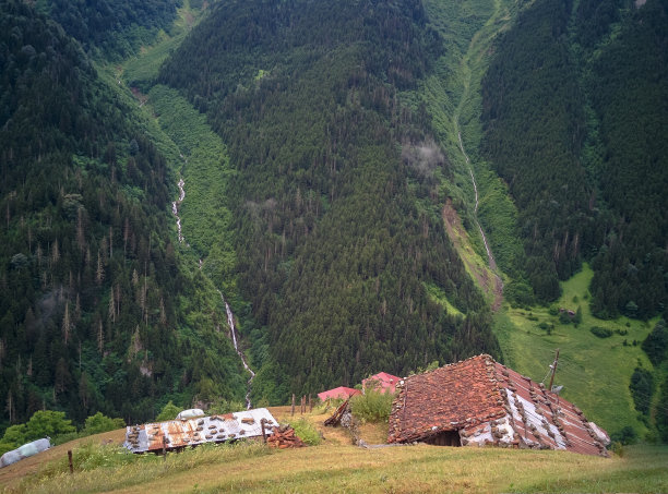 传统农家小景