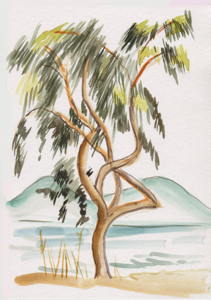 水墨棕榈树