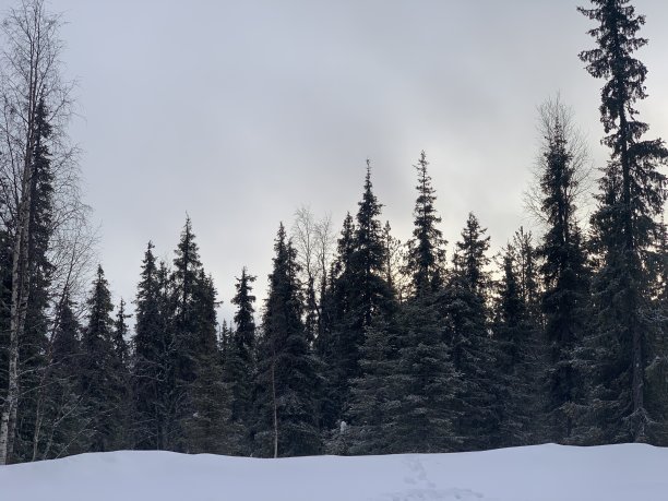 冬季山林 高清全景