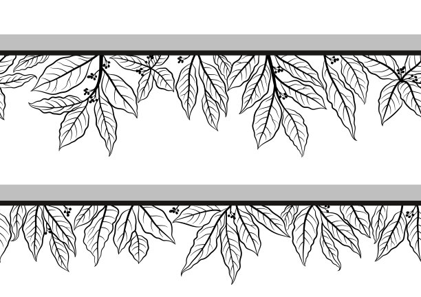 背景分离,月桂树叶,四方连续纹样