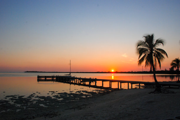 海边夕阳椰树剪影