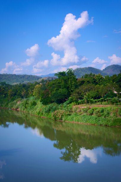 茂密丛林美景