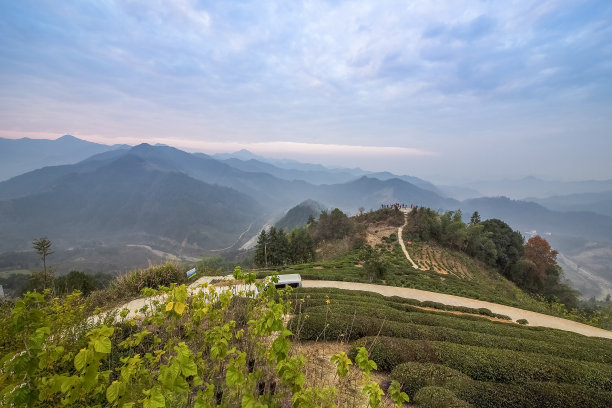 黄山美景