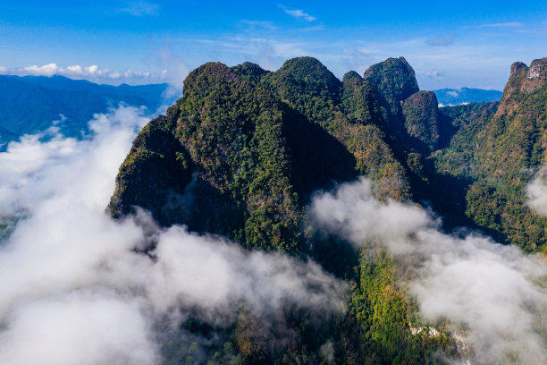 森林大自然美景4k