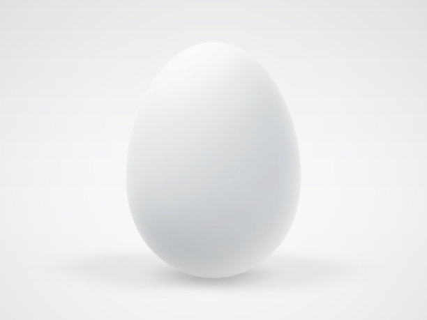 蛋壳概念图