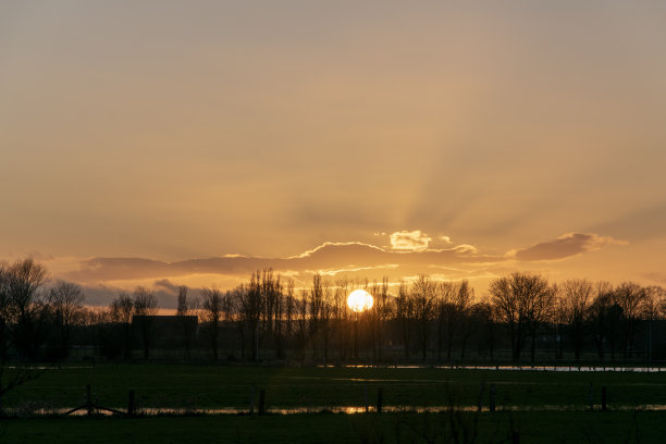 柳树夕照