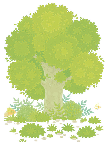 春天树林绿叶插画
