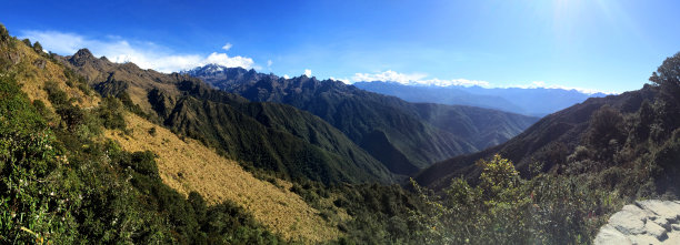 阳光森林小路,高清全景