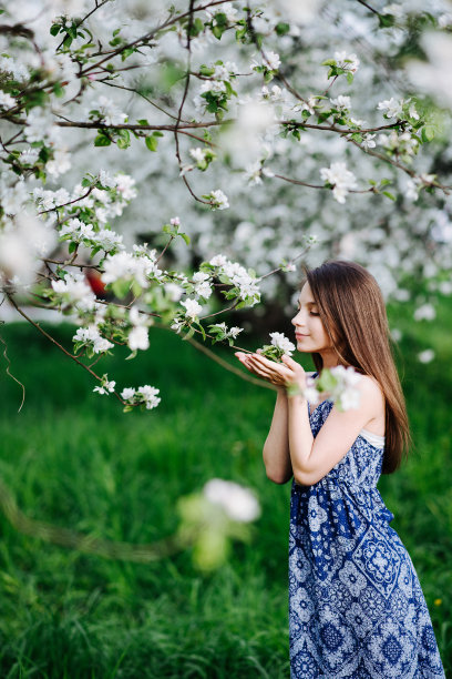 姹紫嫣红 花花草草 户外 写真