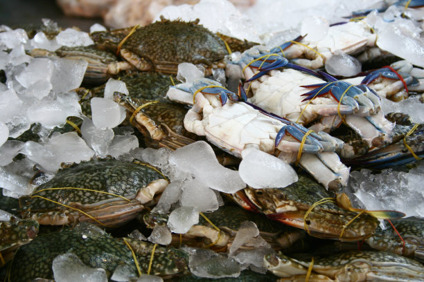 海鲜特价