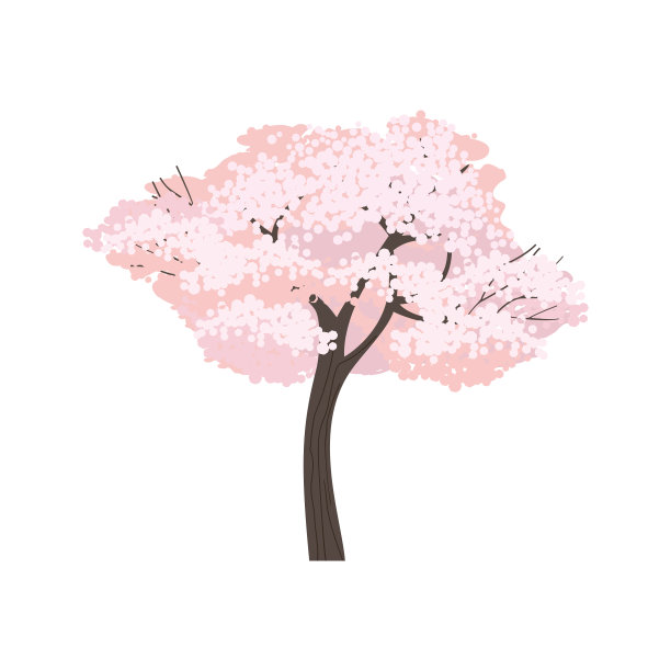 一片樱花树