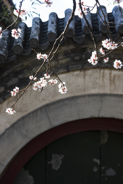 复古桃花背景