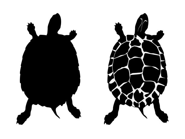 卡通乌龟logo