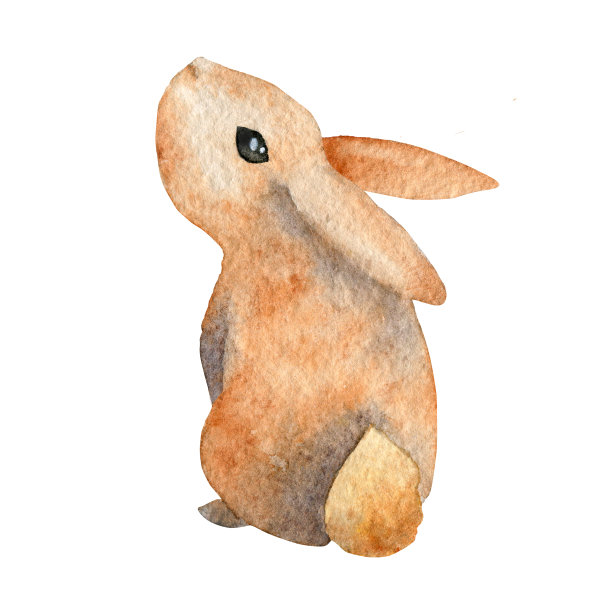 卡通兔子设计小白兔插画