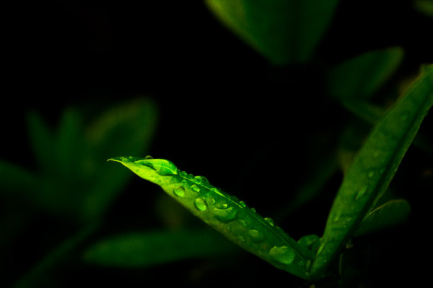 谷雨时节