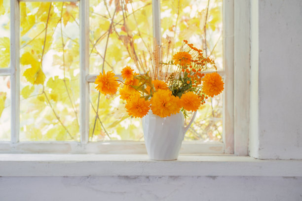 窗户花卉装饰