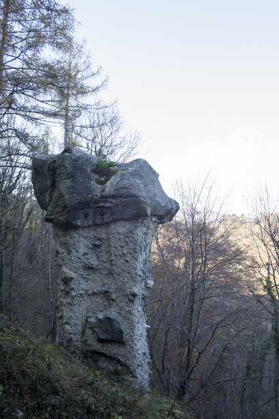 蘑菇石背景素材
