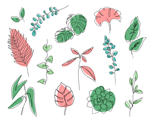 热带植物logo