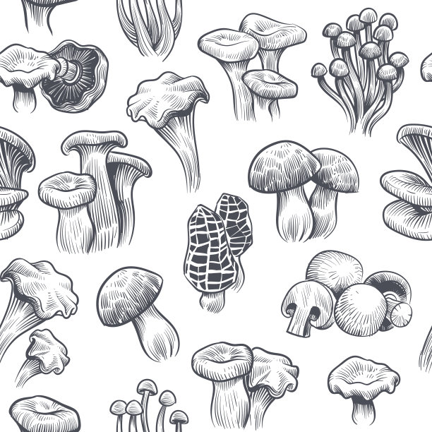可爱蘑菇底纹