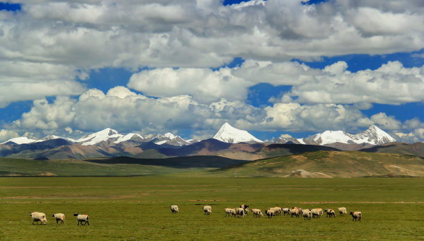 西藏蓝天下的大山与草地