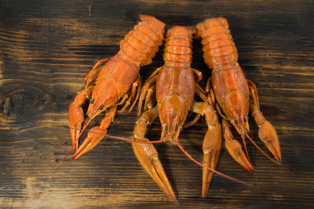 满桌美食