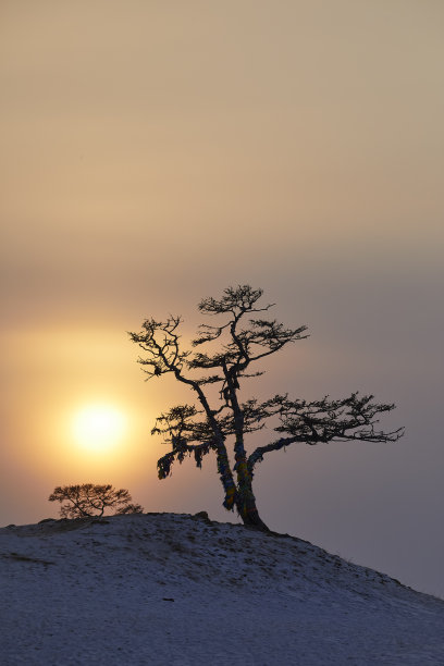 生态环景