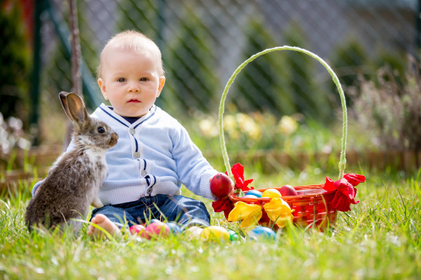 小孩与兔