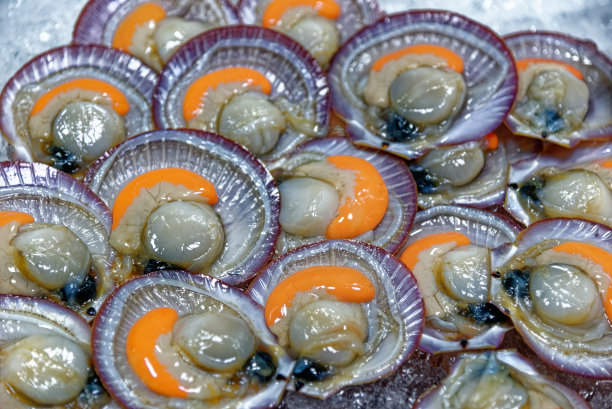 美味的生蚝扇贝海鲜