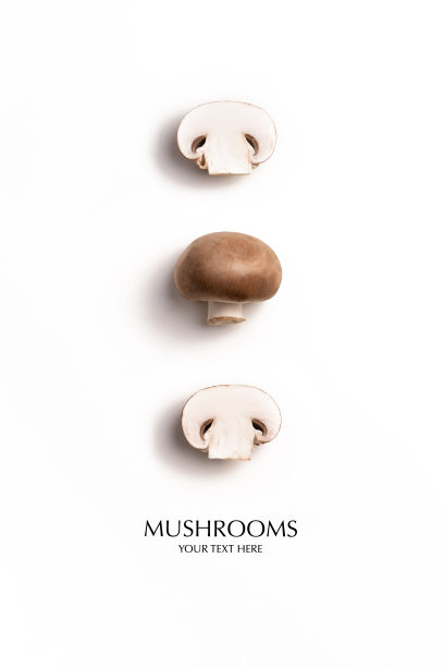 蘑菇的特写镜头
