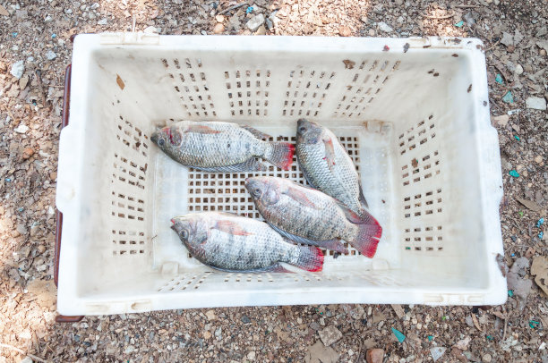 生鲜超市海鲜促销打折