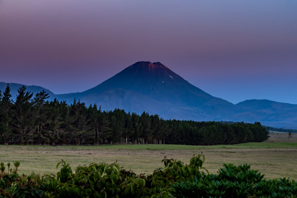 田园原野