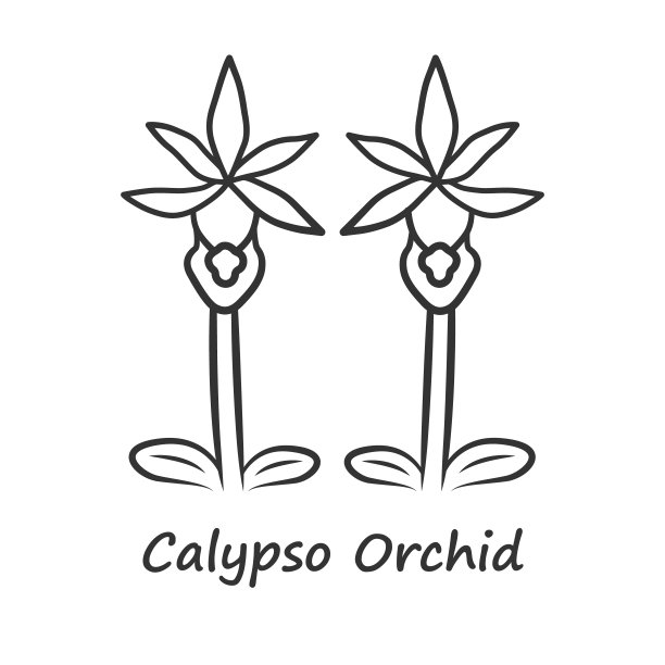石斛logo