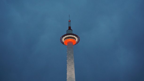 夜景樱花