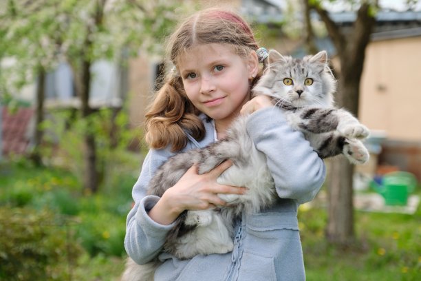 女孩和猫咪