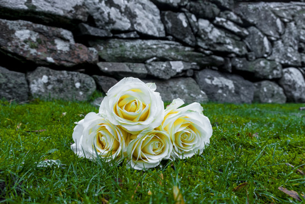 户外白色花卉植物婚礼