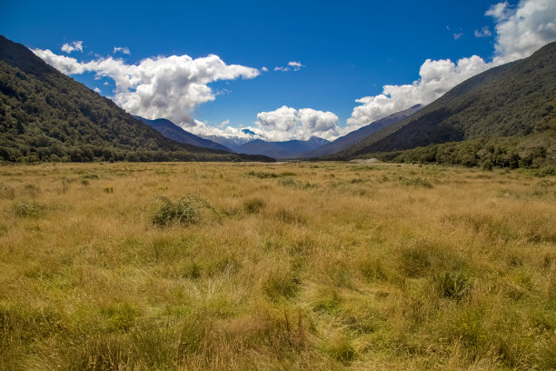 夏天的草原森林高山风景