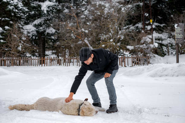 雪天行走的人