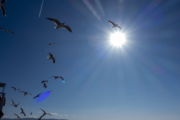 海上升日