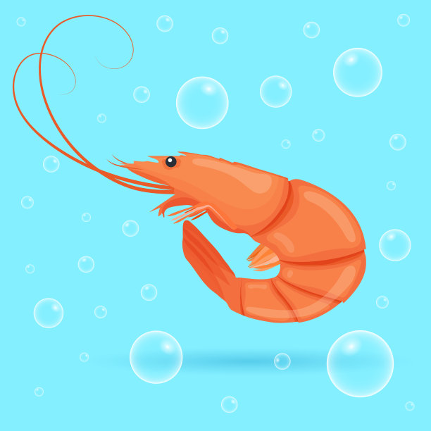 小龙虾抠图