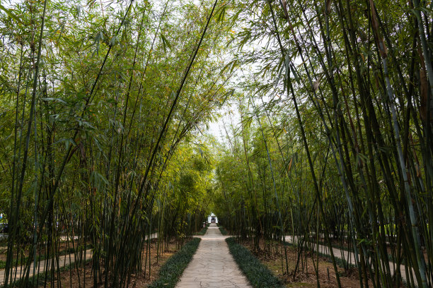 佛山旅游