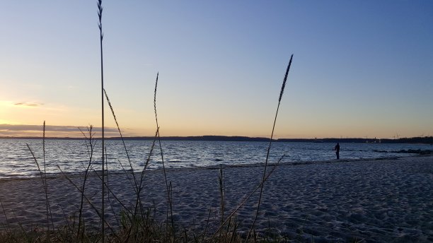 平静的波罗的海海面