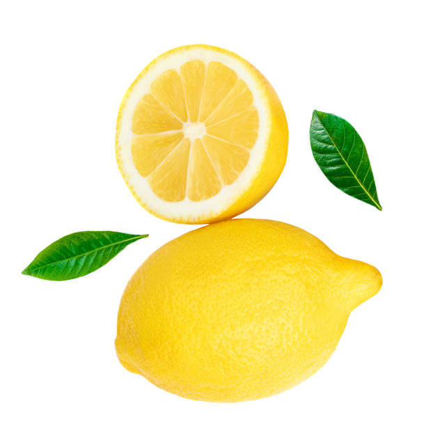 柠檬剖面素材