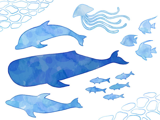 鲸鱼水彩插画