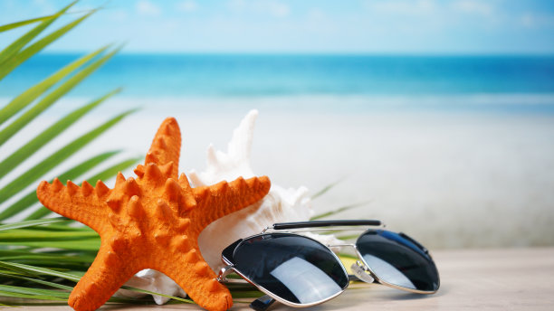 夏日沙滩上的贝壳海星