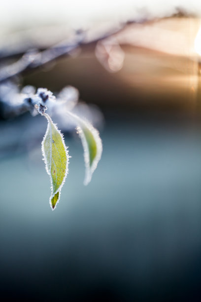 秋分霜降小雪冬大寒