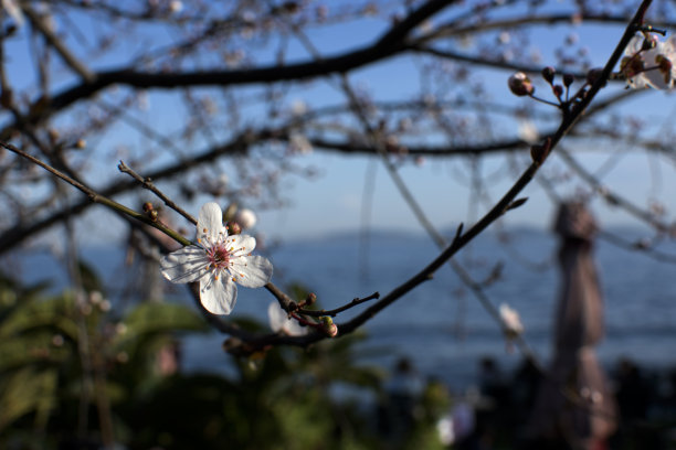 风景日历