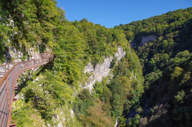 秋季森林景区木栈道